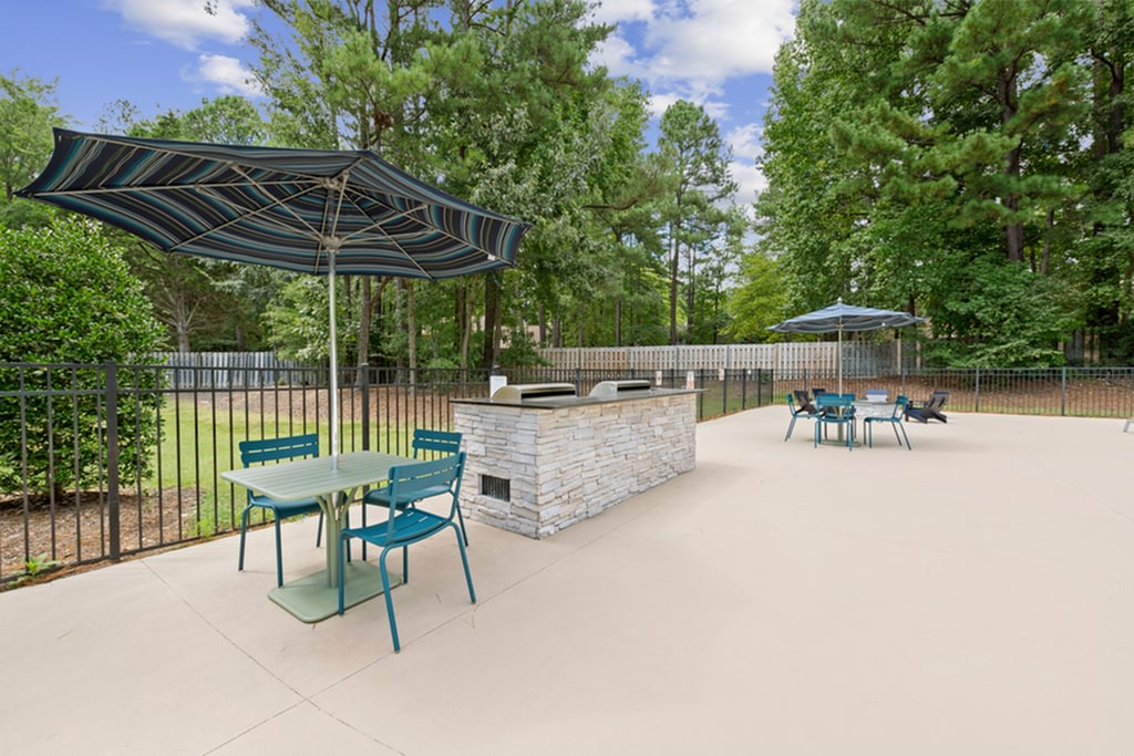 The Apartments at Midtown 501 Image 8