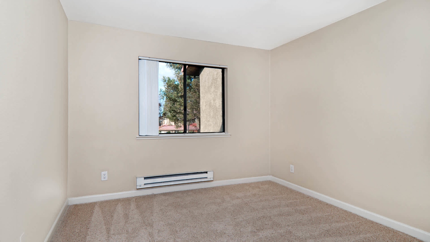 Verde Image 15