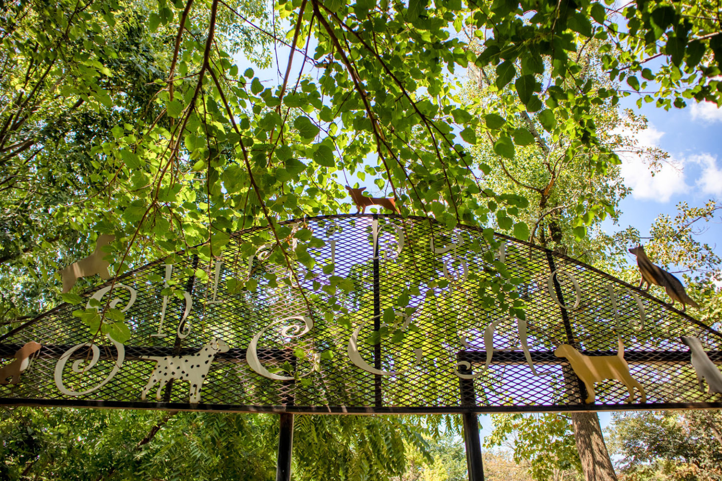 Array at West Alex Image 116