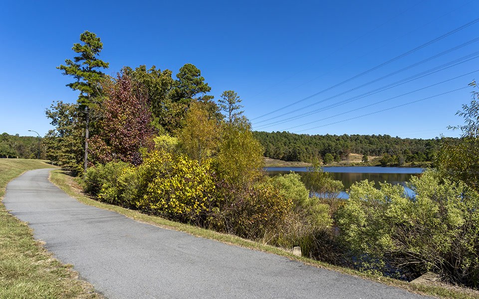 Chenal Pointe at the Divide Image 19