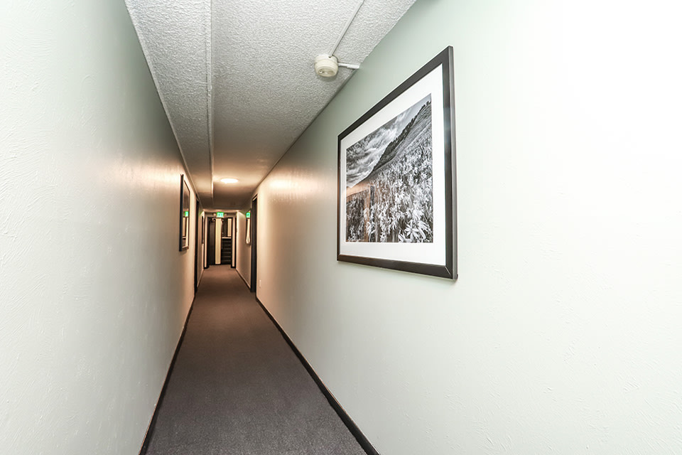 780 Dexter Image 7