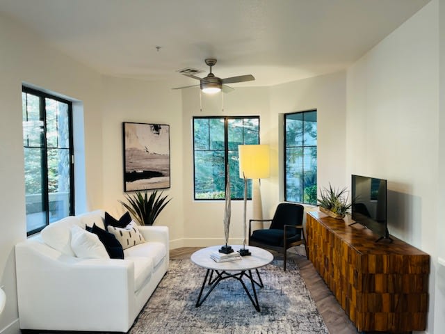 Elevation Luxury Apartments Image 2