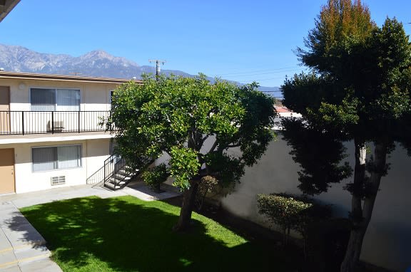 Country Club Apartments Image 12