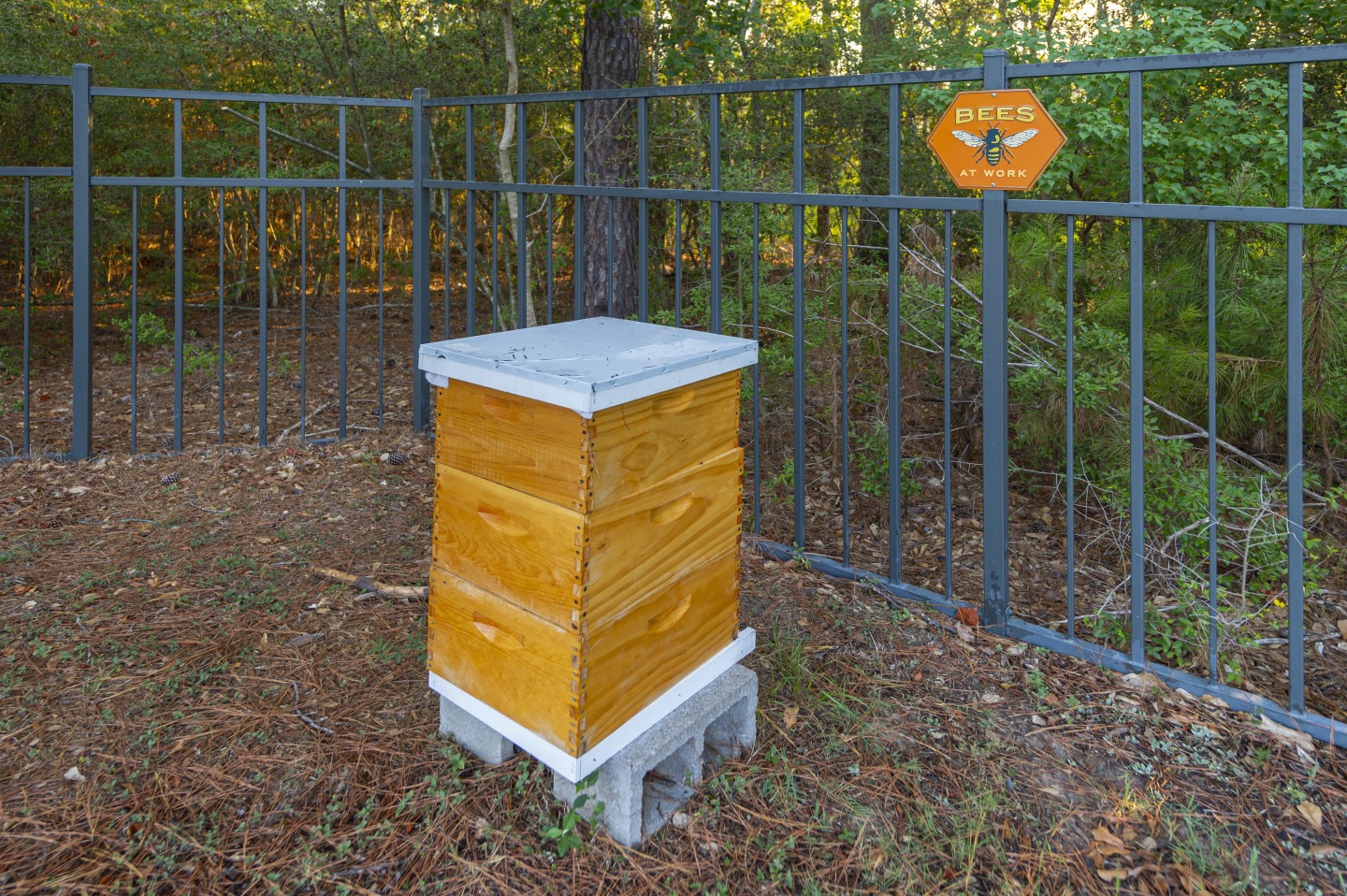 The Retreat at the Woodlands Image 29
