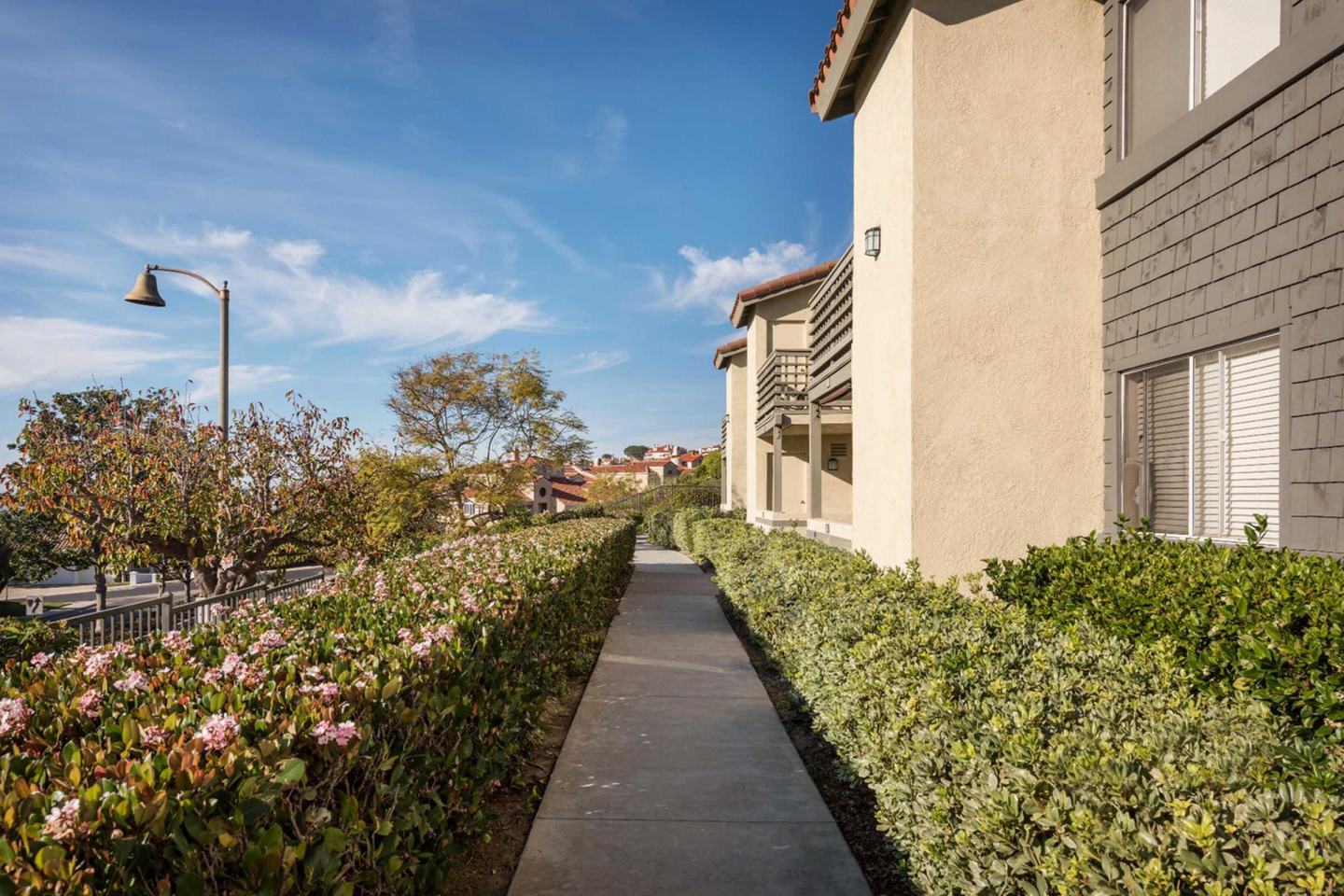 Elan Overlook Laguna Apartments Image 8