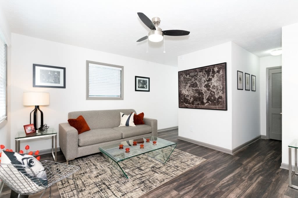 Myrtle Street Apartments Image 6