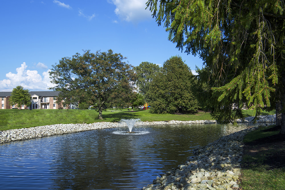 Emerson Village Image 4