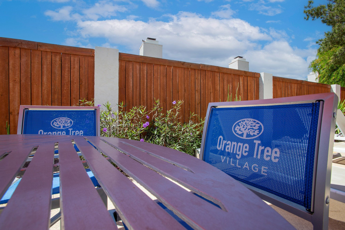 Orange Tree Village Image 31
