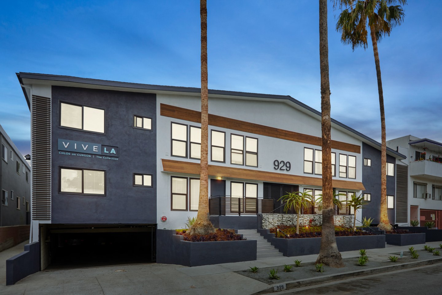 Chloe on Curson Image 6
