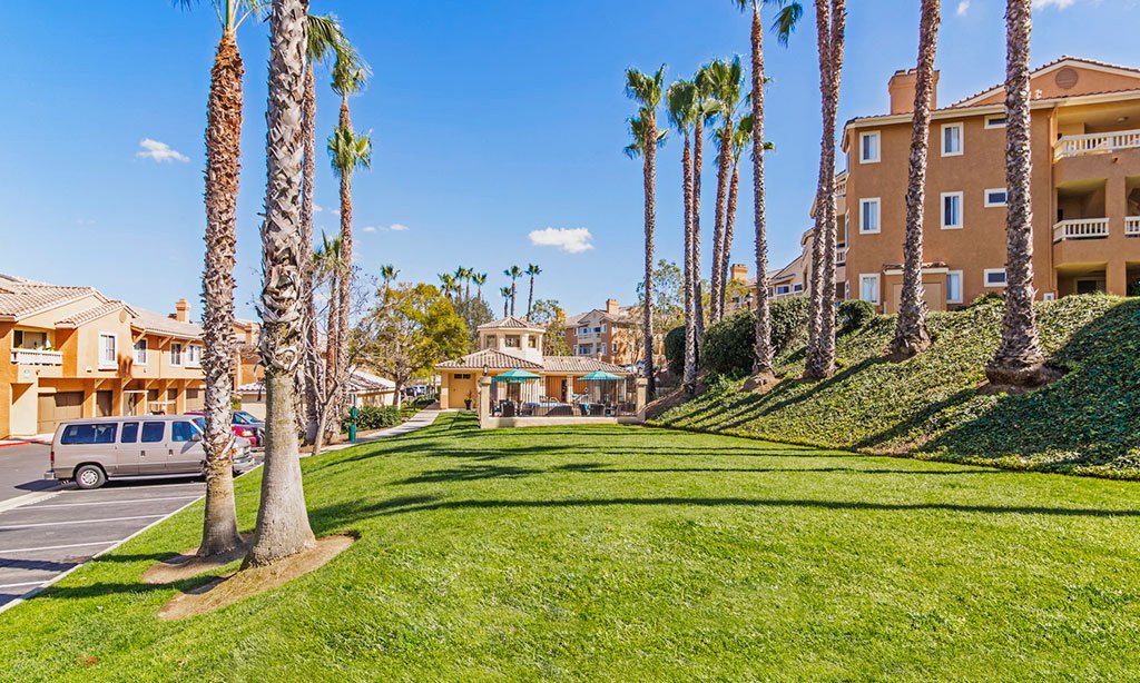 Sofi Canyon Hills Image 26