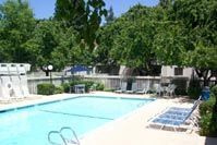 Shasta Terrace Image 5