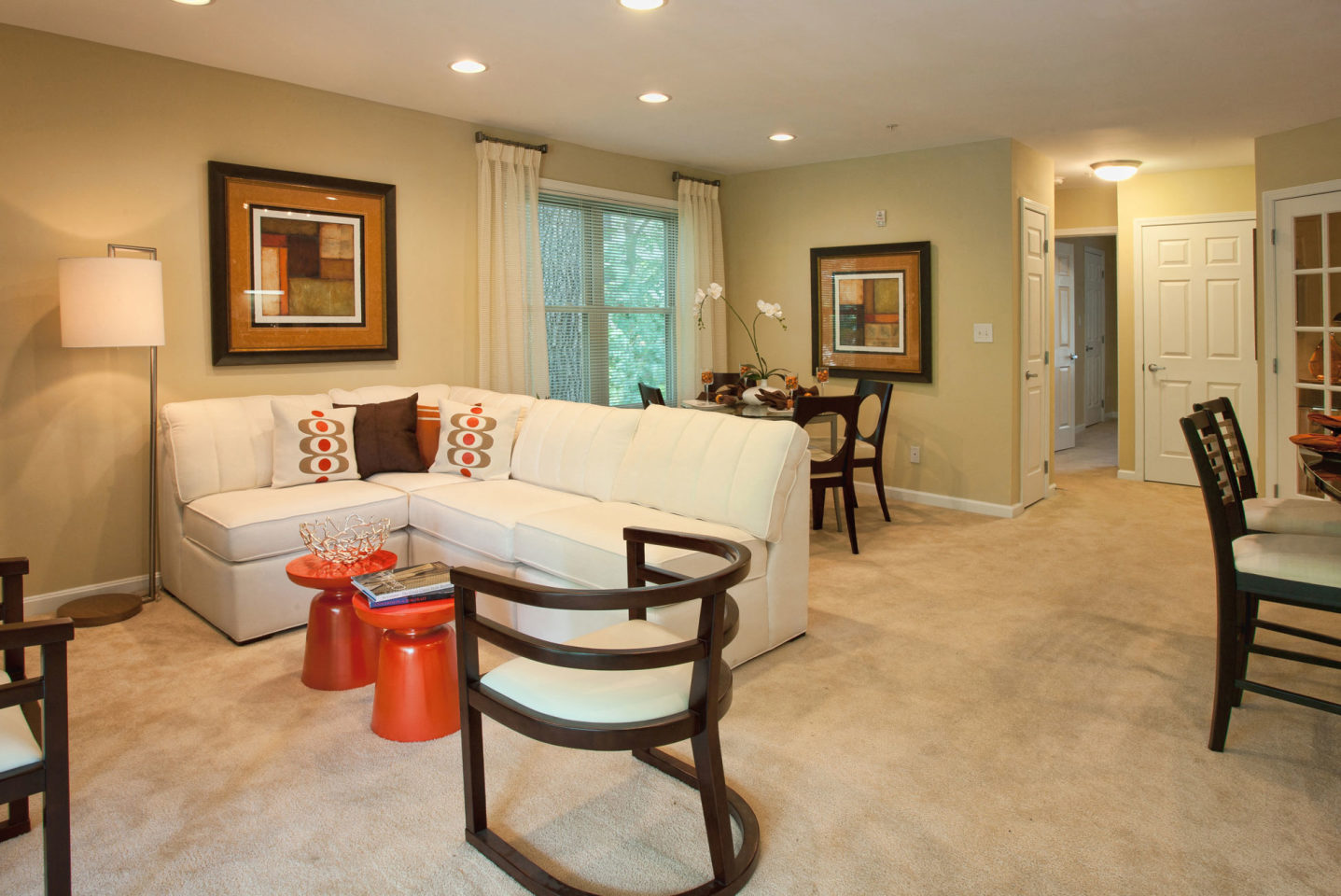 Spa Cove Image 6