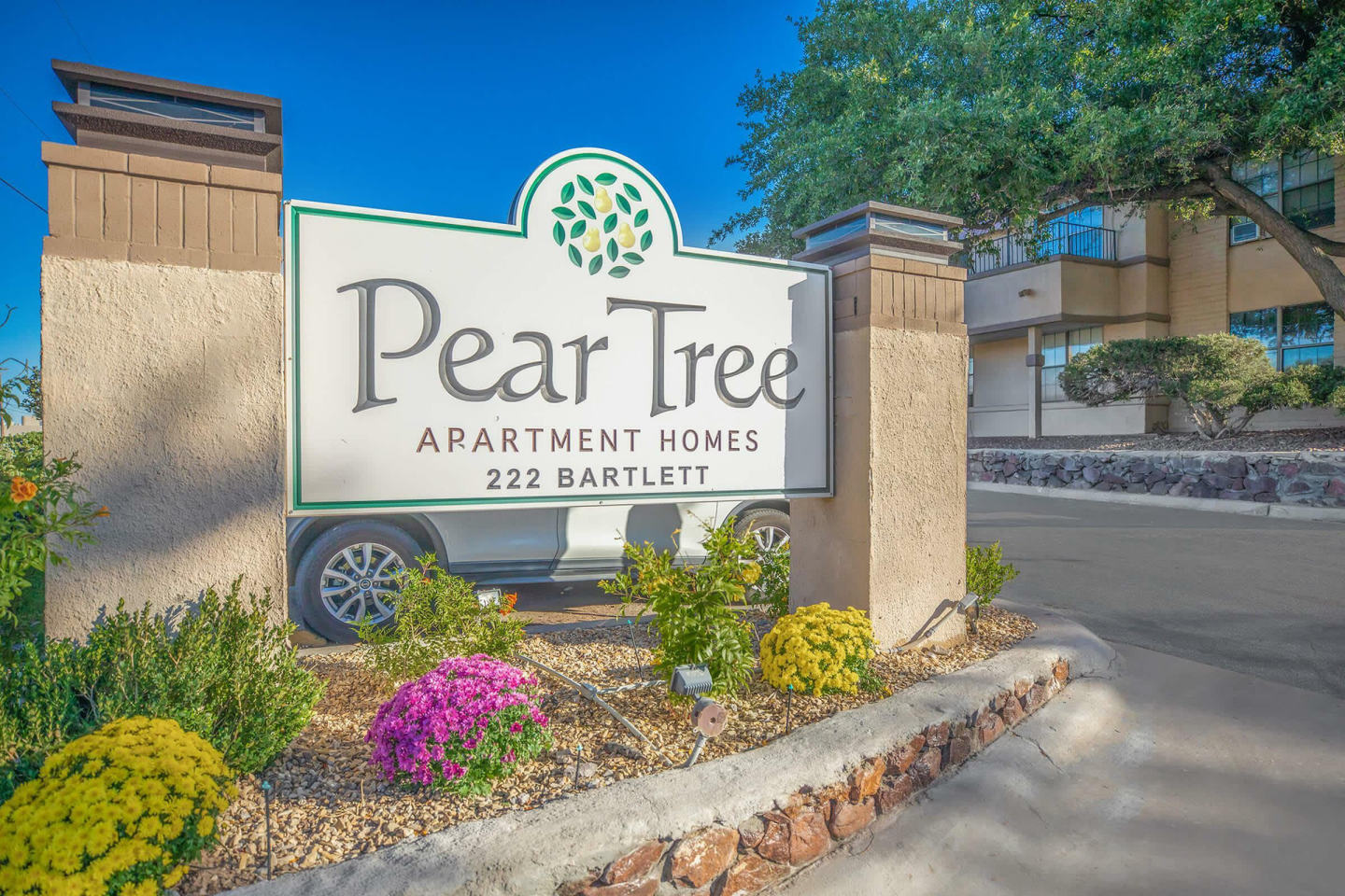 Pear Tree Image 1