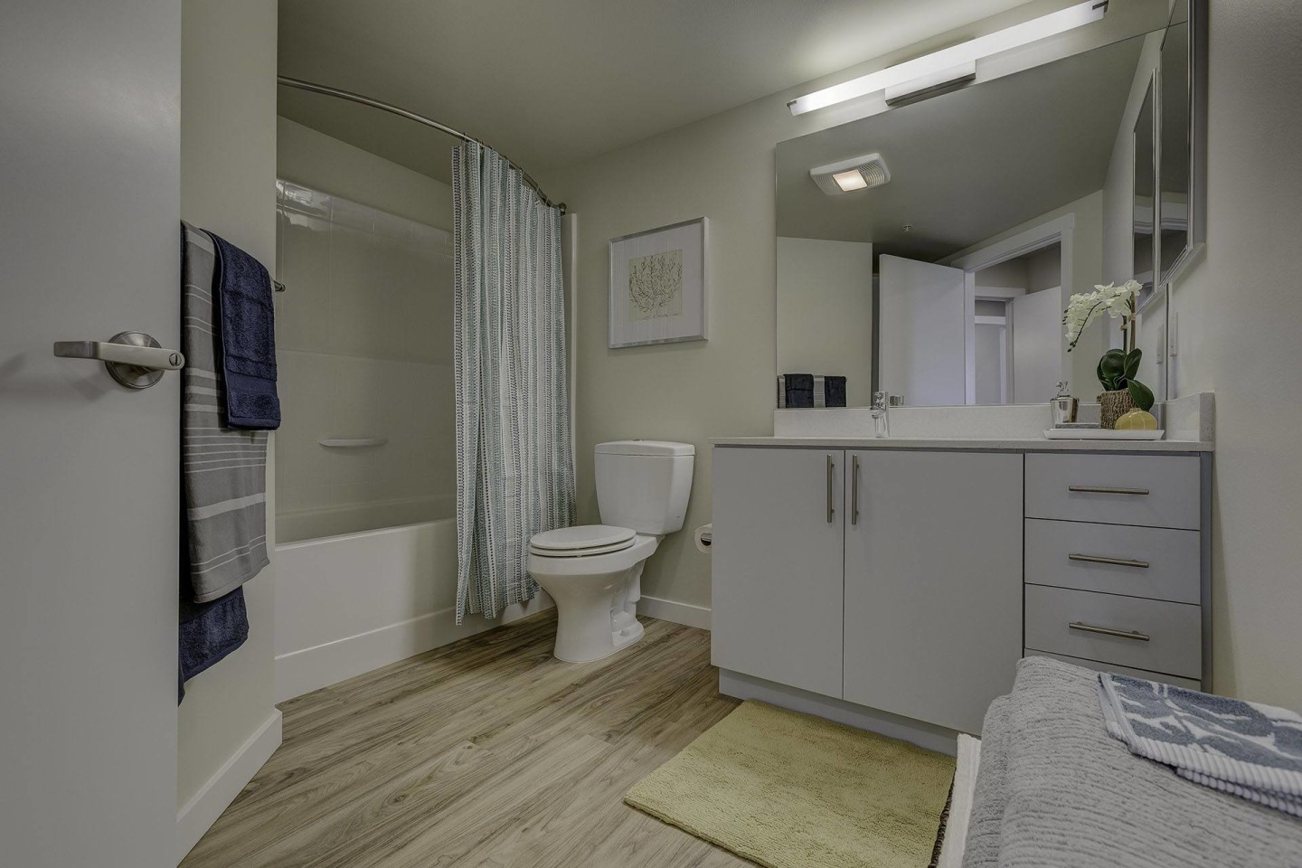 Spruce Image 21