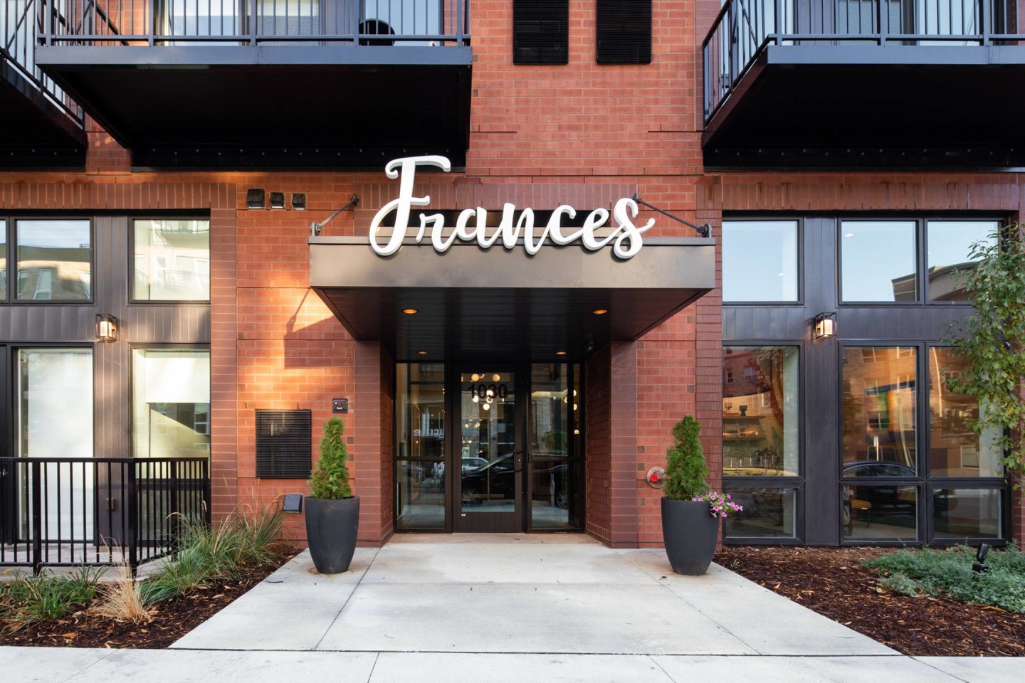 Frances Image 1
