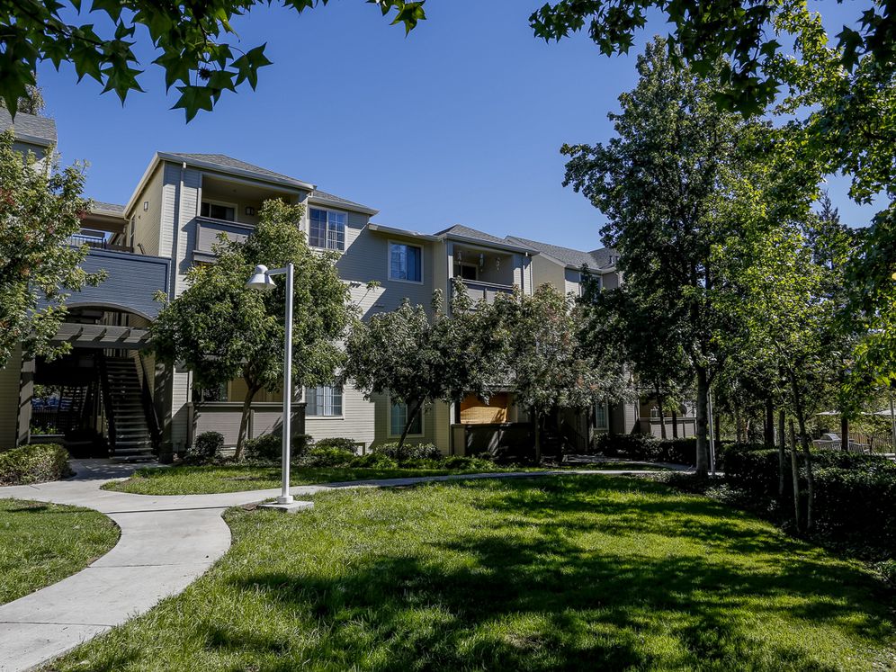 Avalon Campbell Image 29