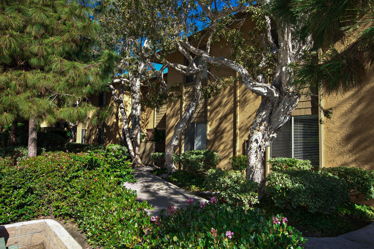 Elán Solana Pointe Image 33