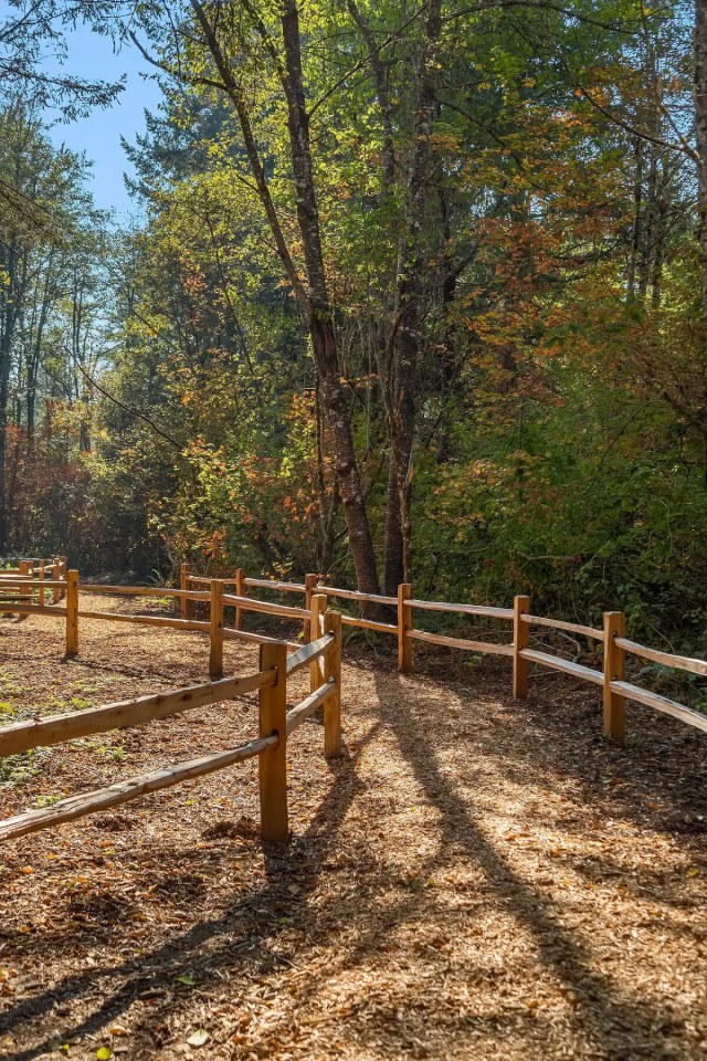 Alder Walk Image 5
