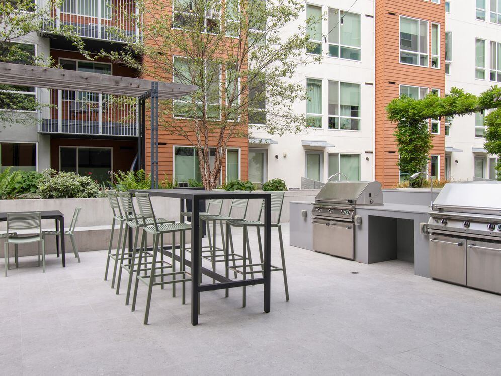 Avalon Dogpatch Image 25