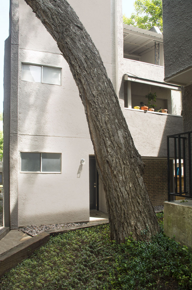 San Mateo Forest Apartments Image 25