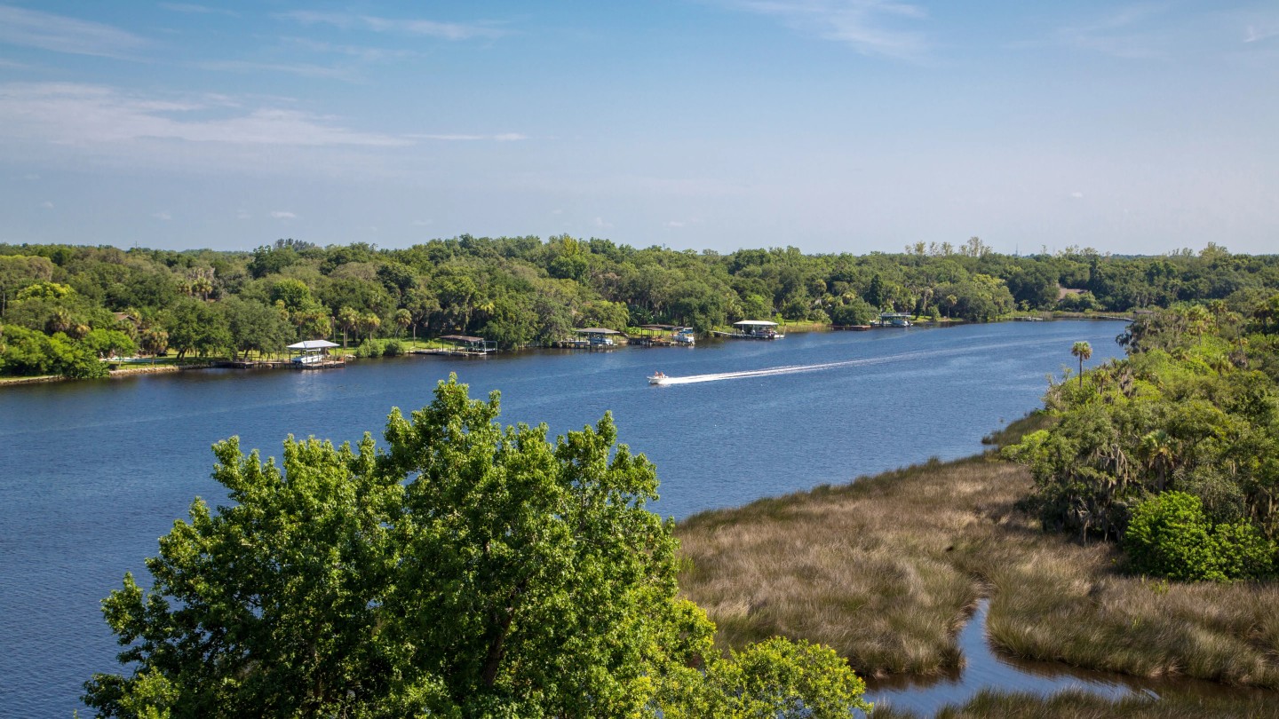 Preserve at Alafia Image 20
