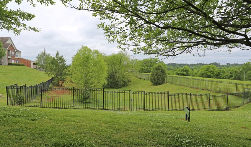 University Hill Image 17
