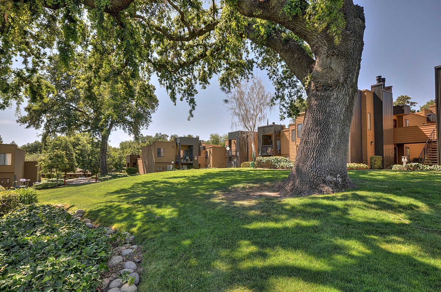 The Fountains of Fair Oaks Image 21