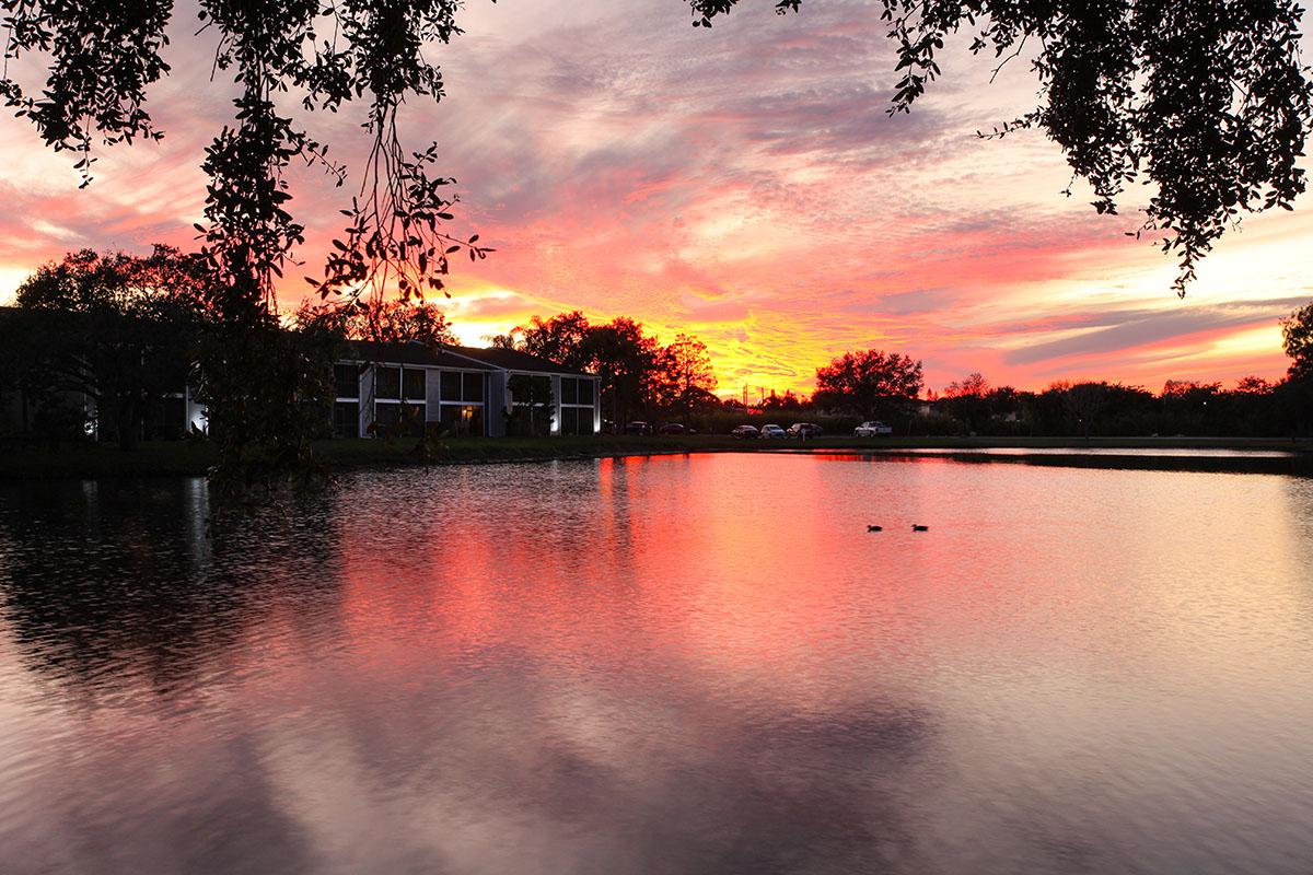 Fountain Lake Bradenton Image 73