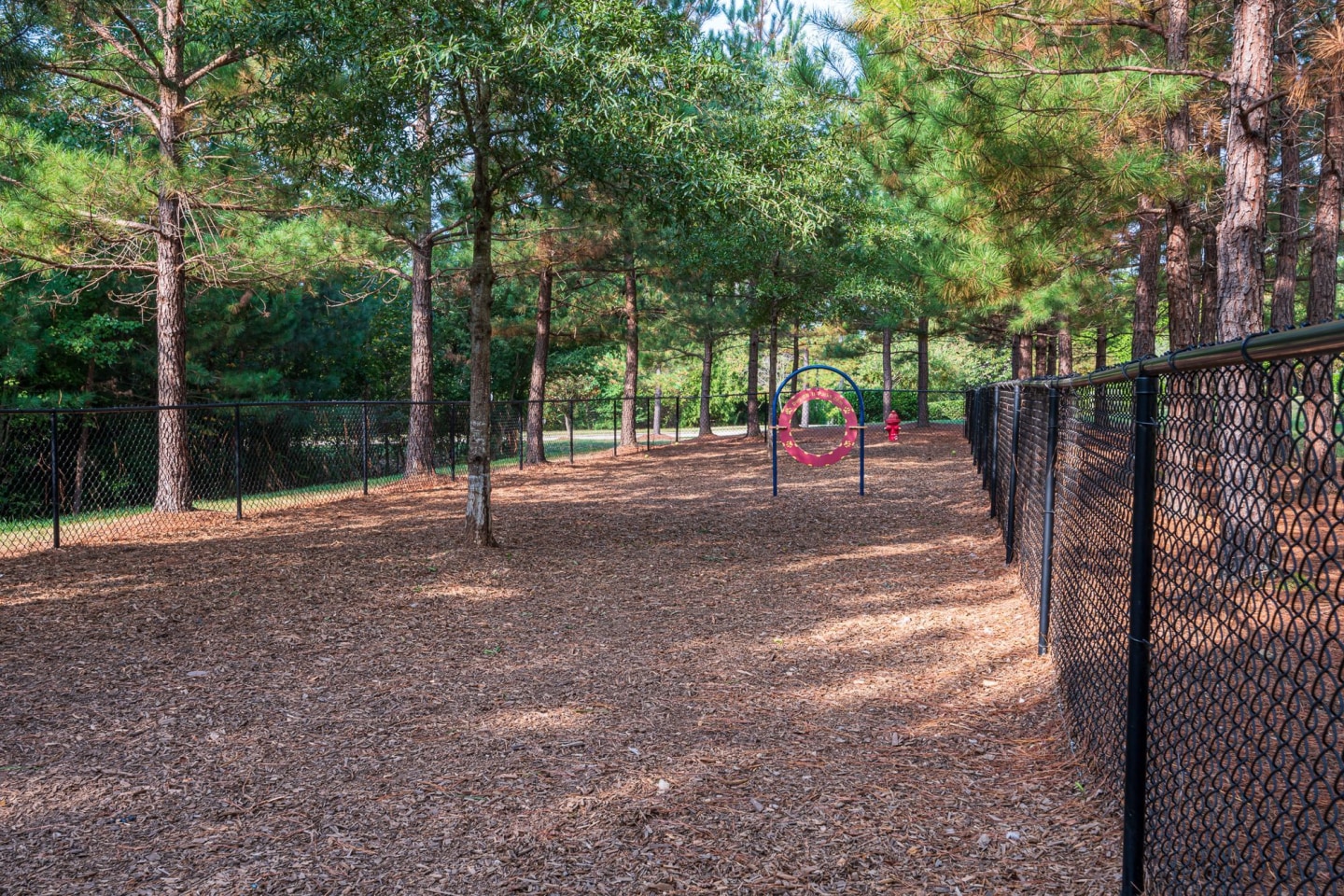 Windsor at Tryon Village Image 33