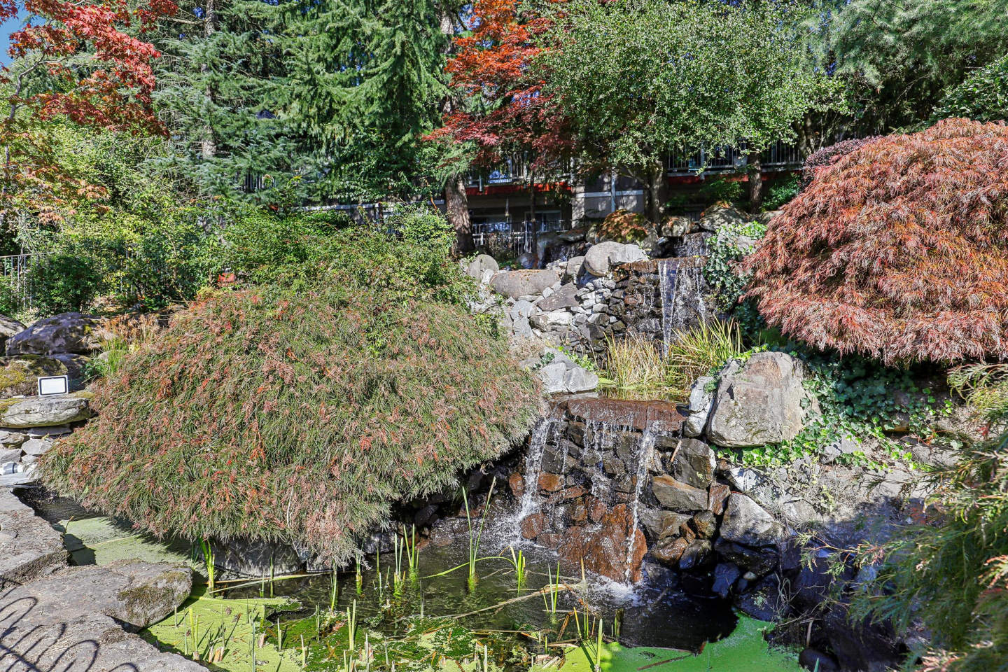 Cascade Park Image 28