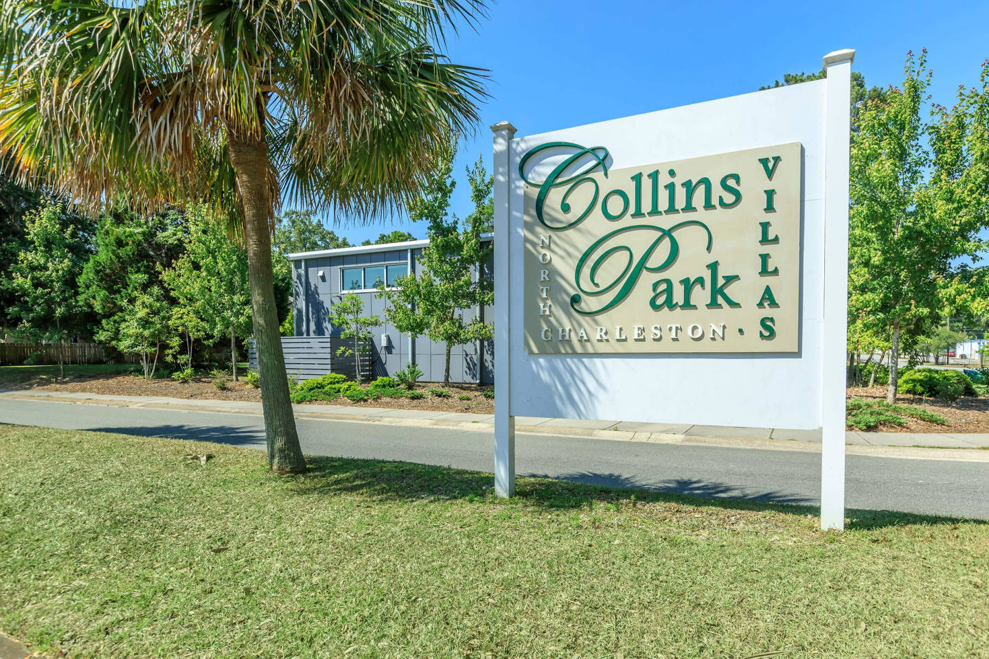 Collins Park Image 9