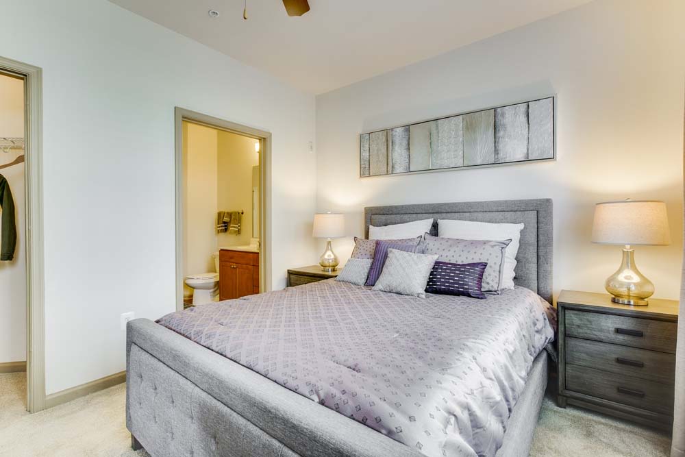 Summerfield at Morgan Metro Image 18