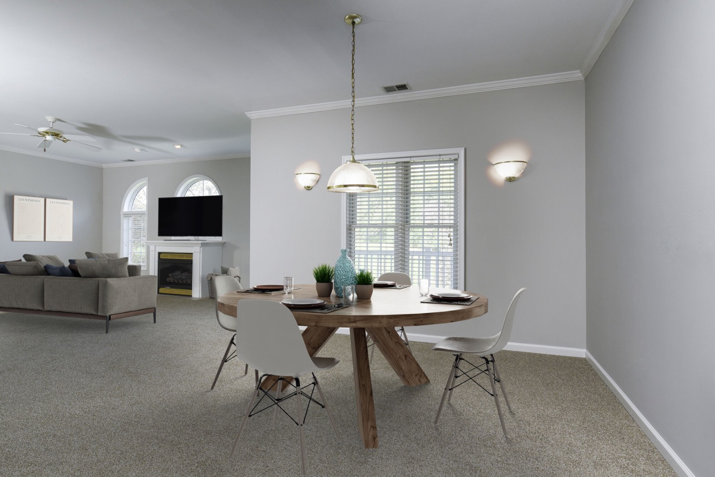 Springhouse Townhomes Image 6