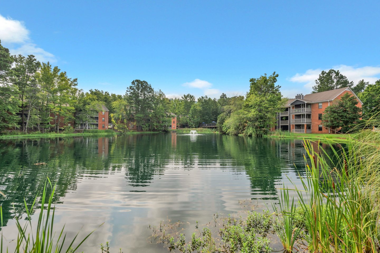 Turtle Lake Image 30