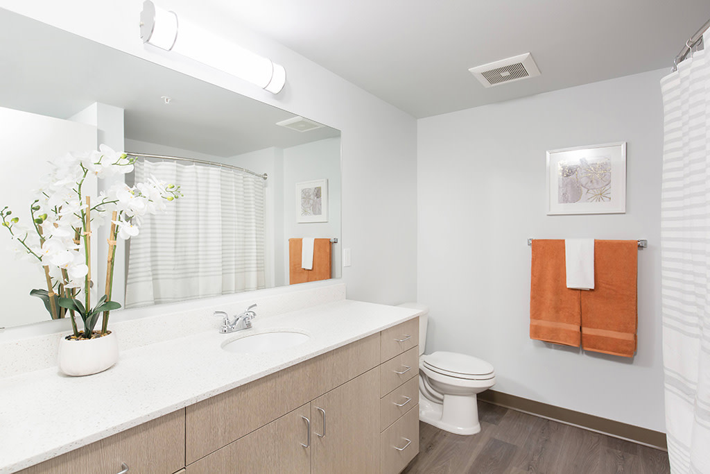 Linden Flats Image 8