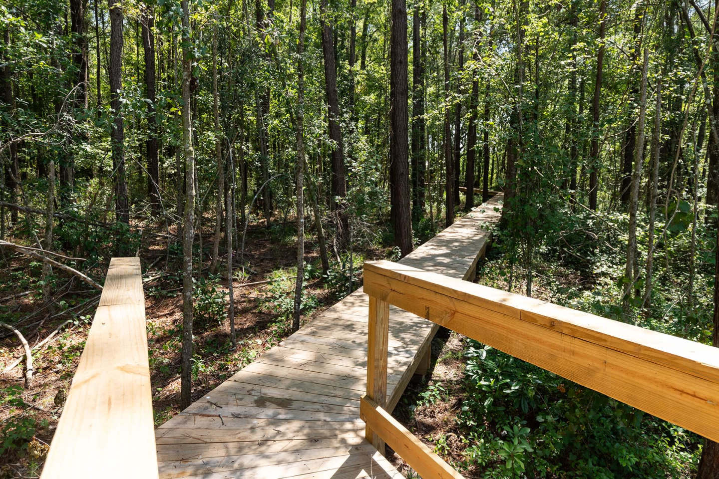 Preserve at Ridgeville Image 22