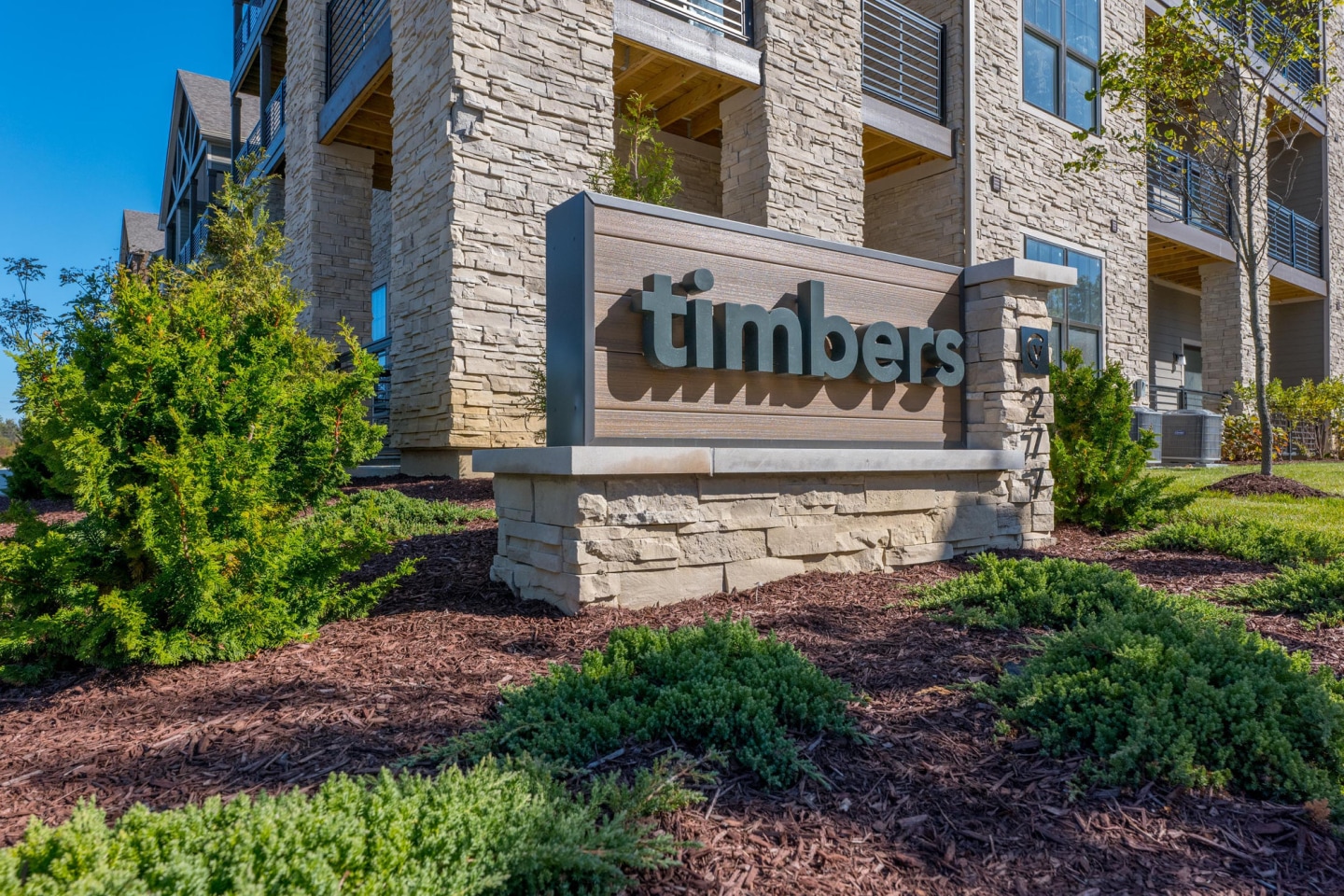 Timbers Image 29