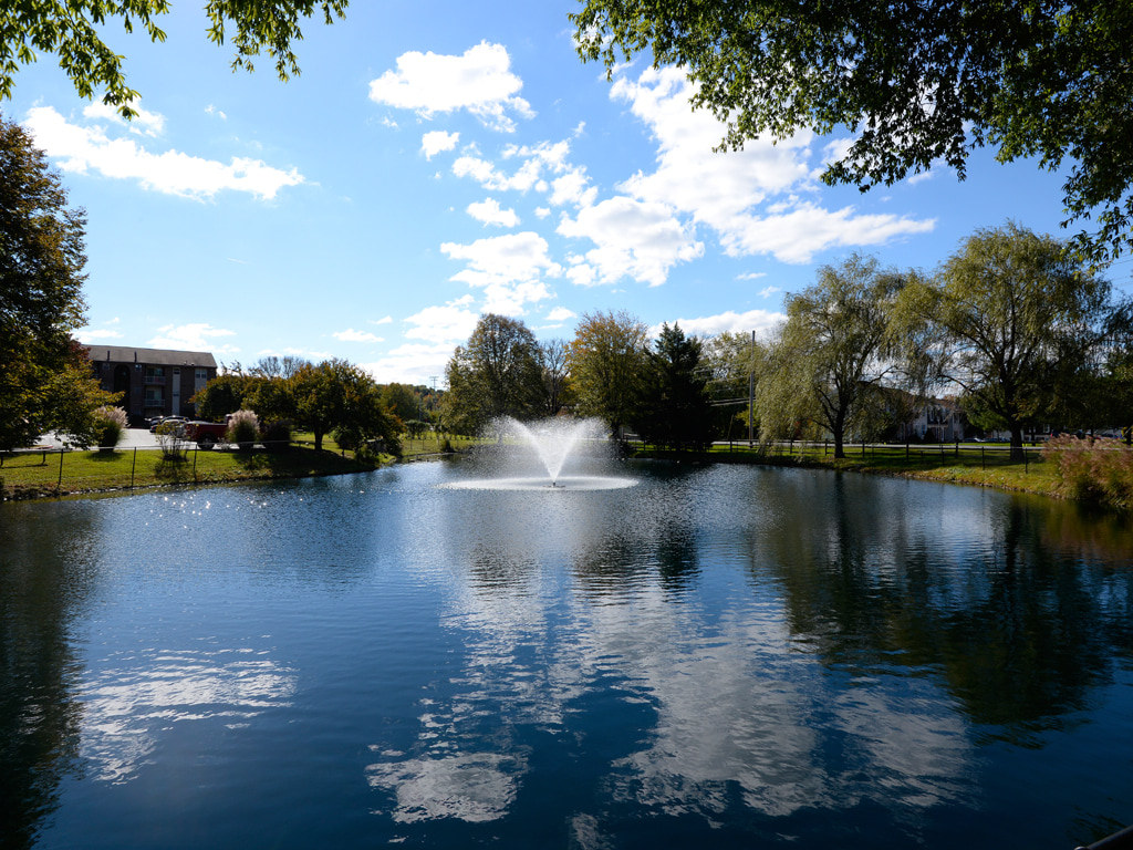Woodsdale Image 21