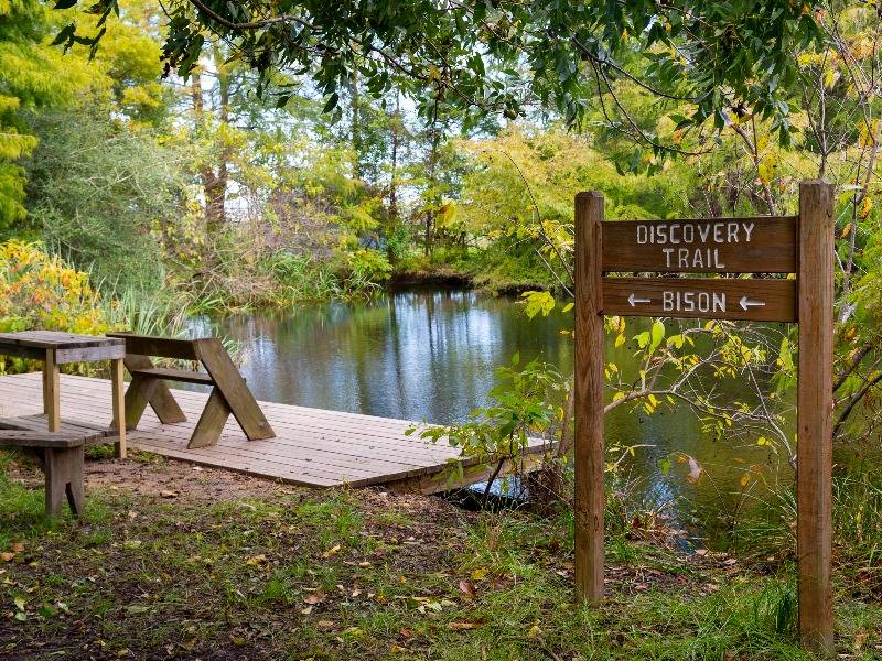 Park at Armand Bayou Image 28