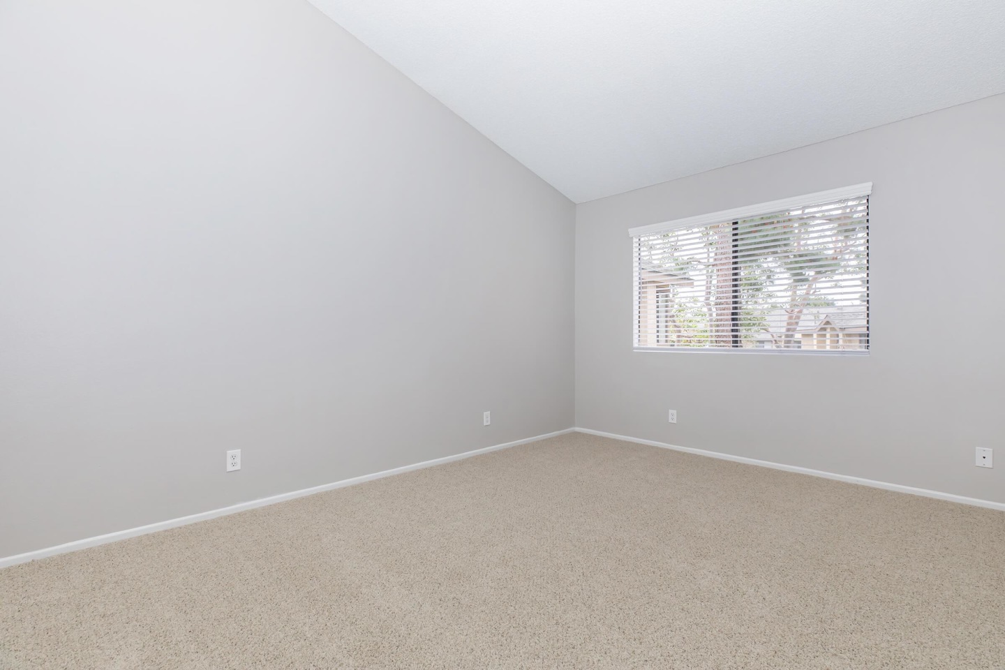 Mountain Springs Image 11