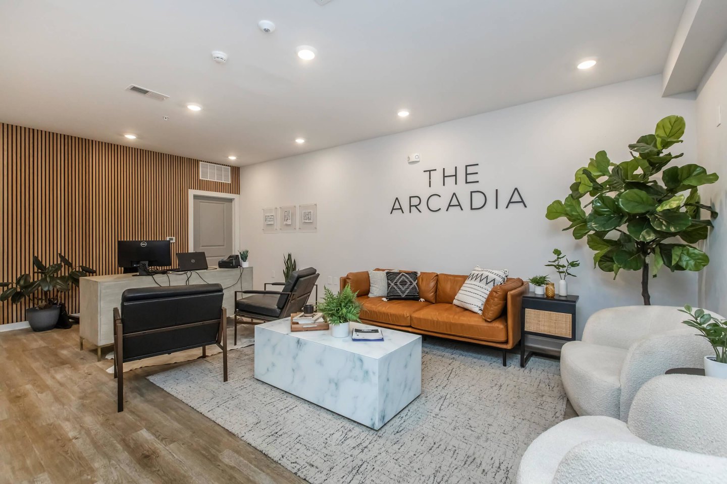 The Arcadia Image 30
