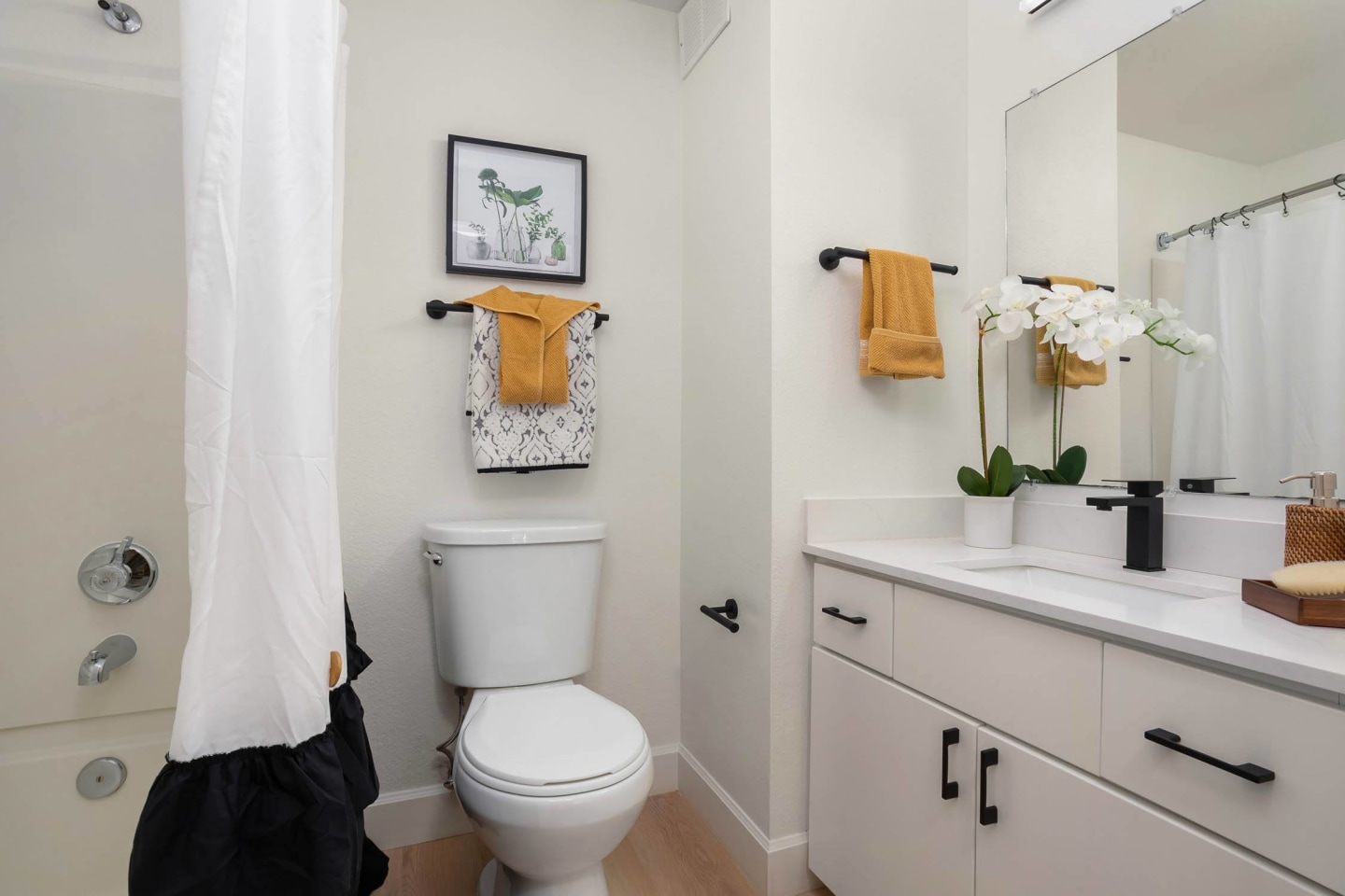 The Post Image 28