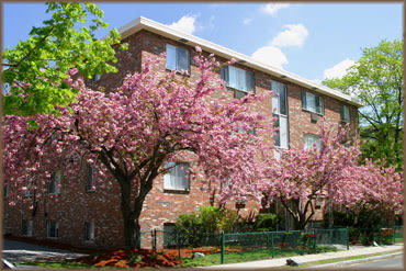 Gardner Street Apartments Image 9