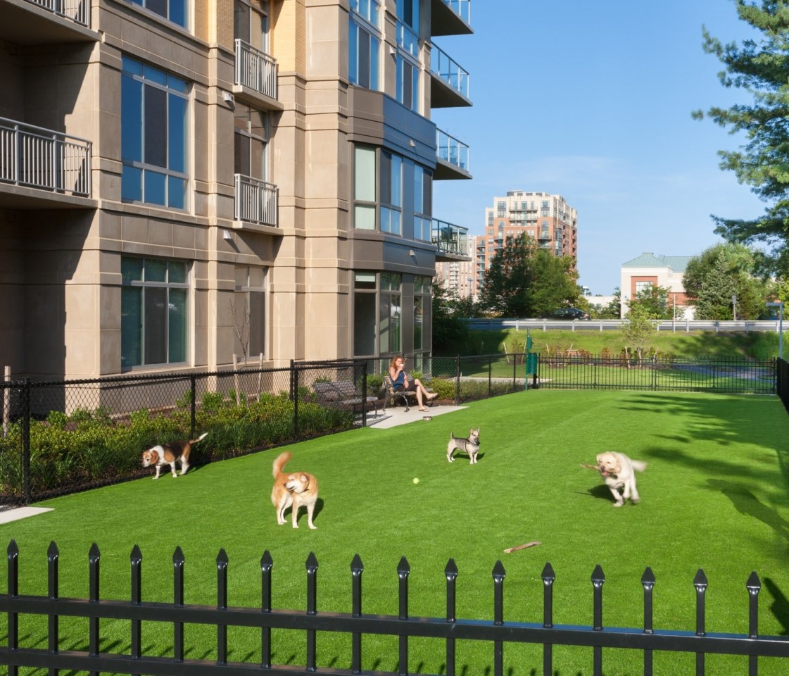 Harrison at Reston Town Center Image 40