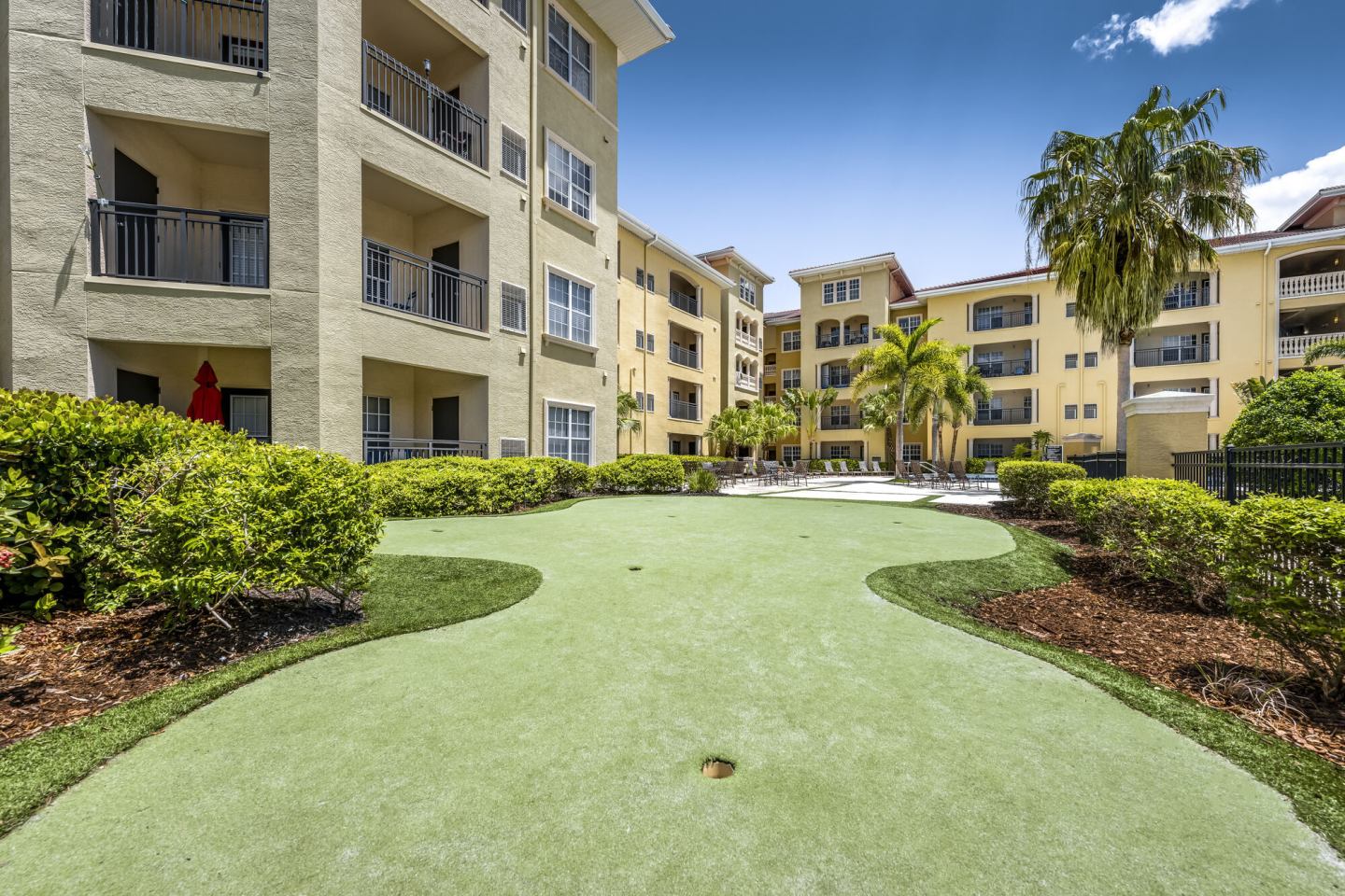 Casa Bella on Westshore Image 9