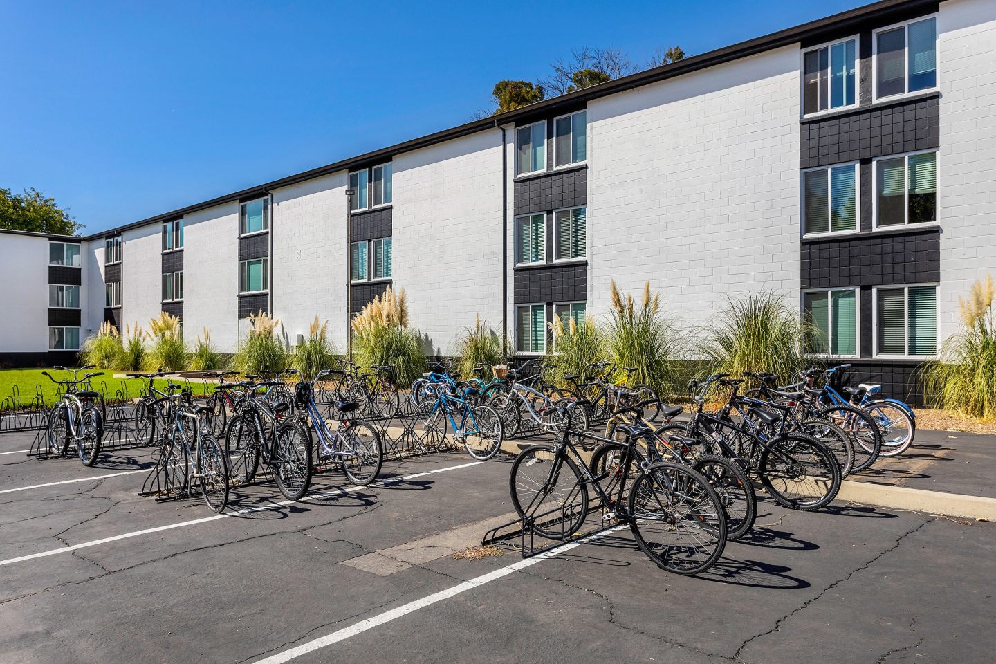 Student Housing - The Social Chico Image 17