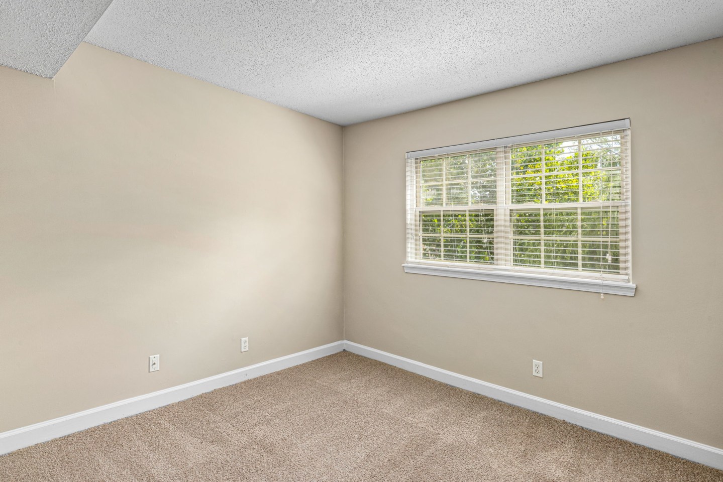 Student Housing - Collins Crossing Image 15