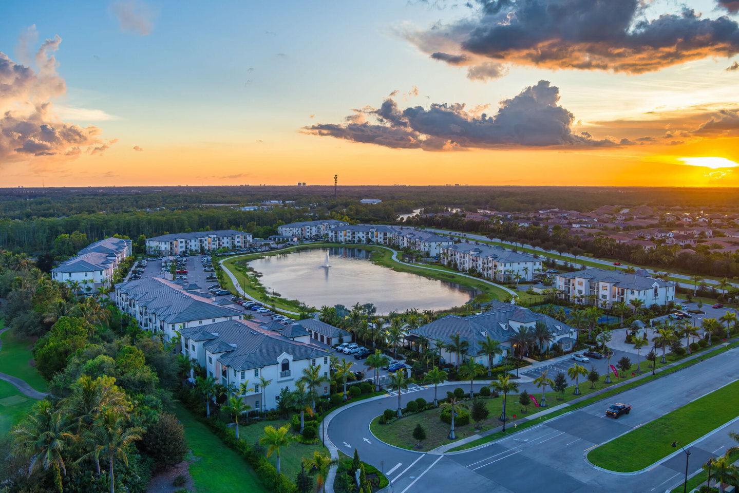 Town Treeline Image 29