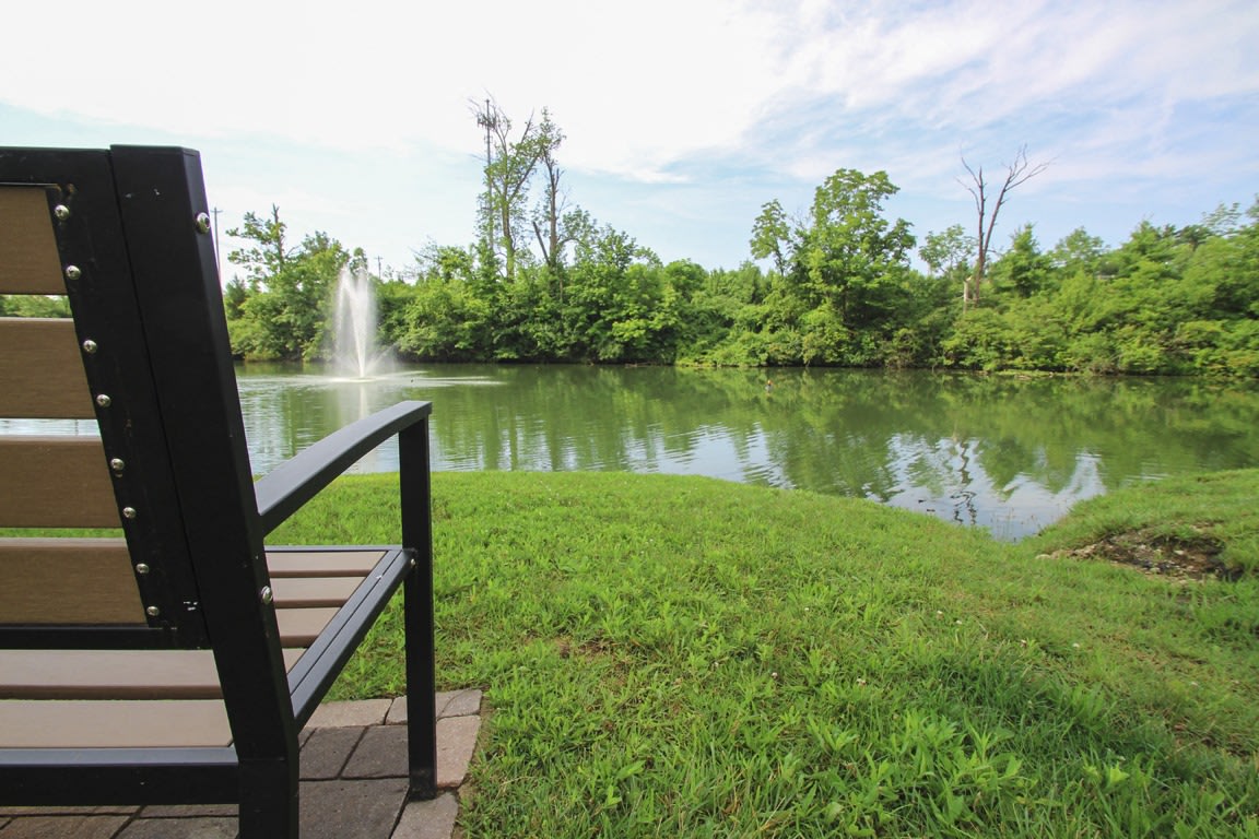 Lake of the Woods Image 14