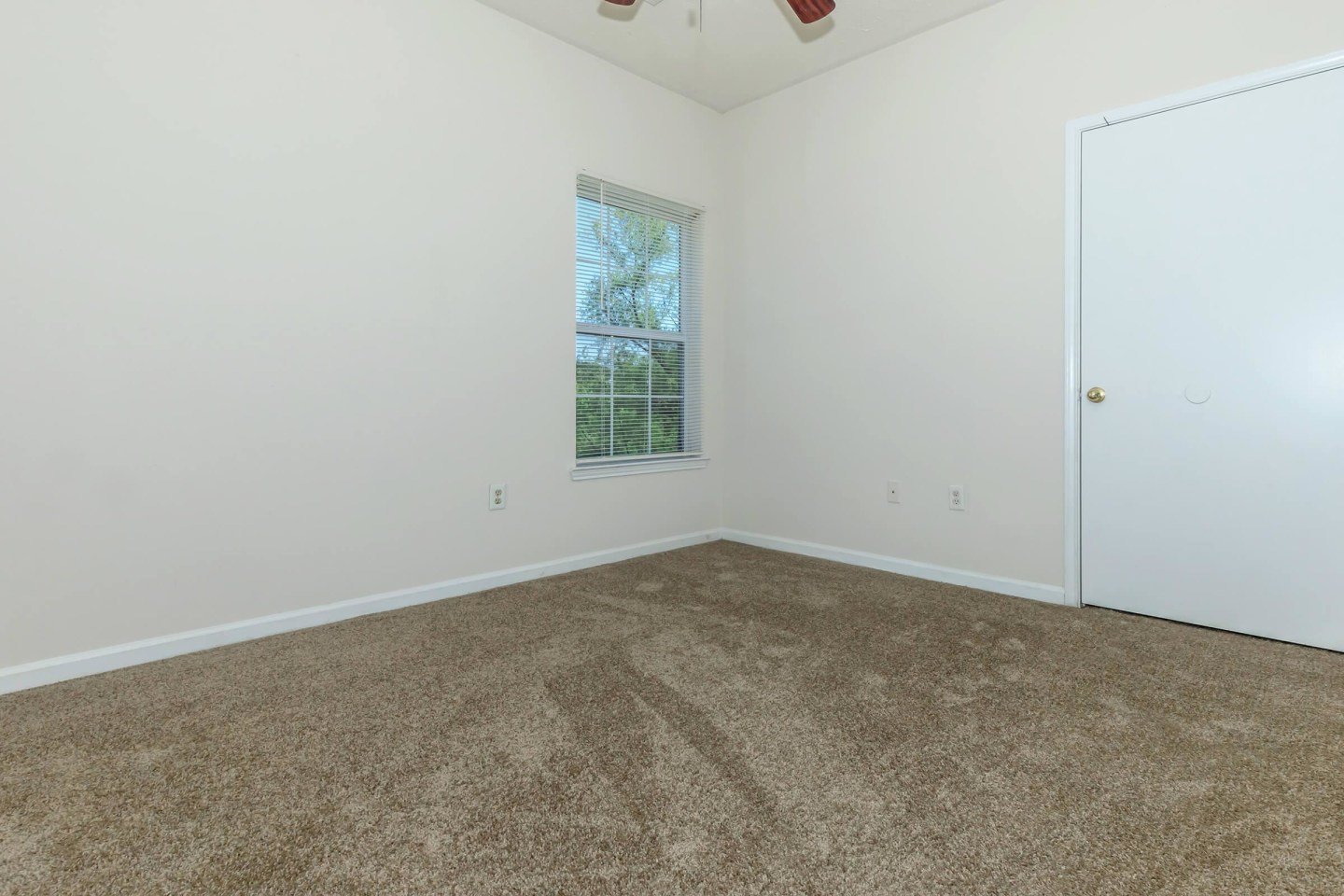 Cedar Park Image 14